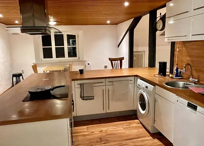 New Train Fans Seevetal